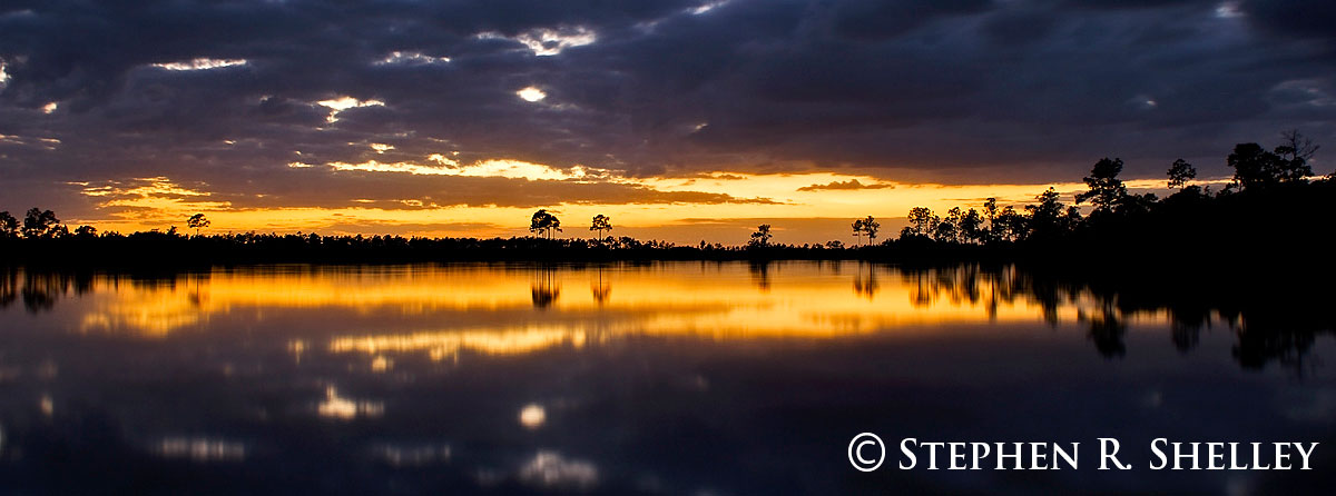 Pine Glades Panoramic Sunset